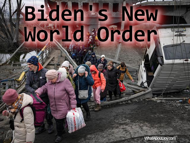 bidens new world order
